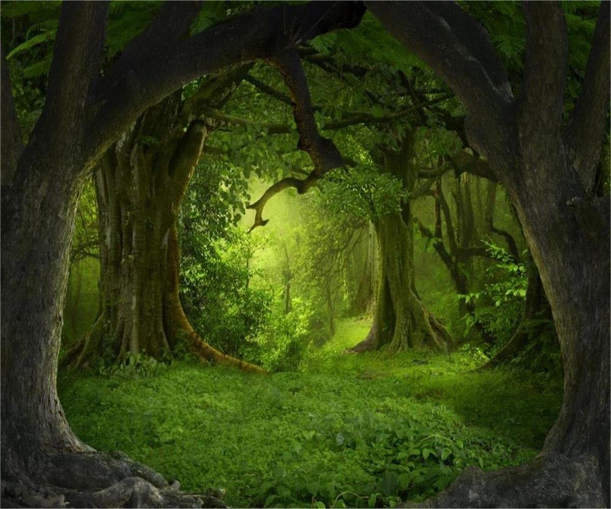 Fairytale Forest Background