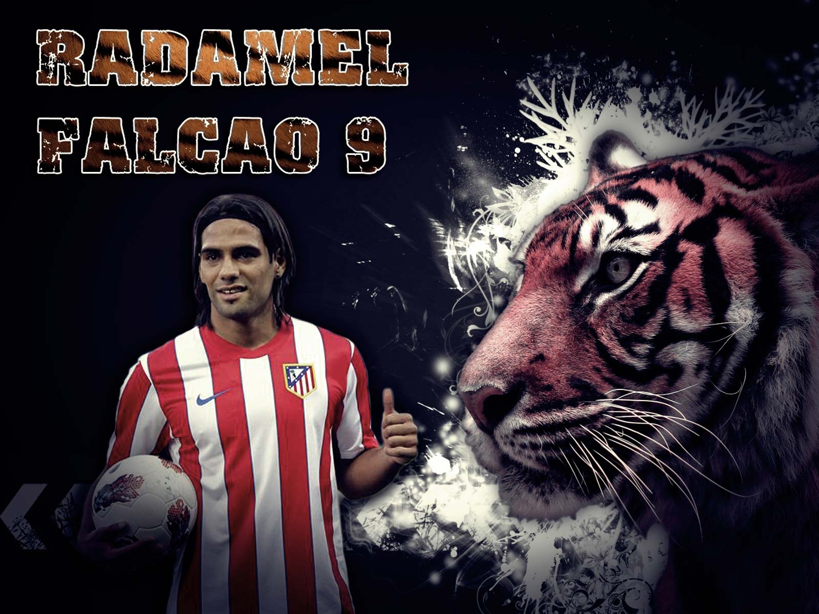 Falcao Wallpapers