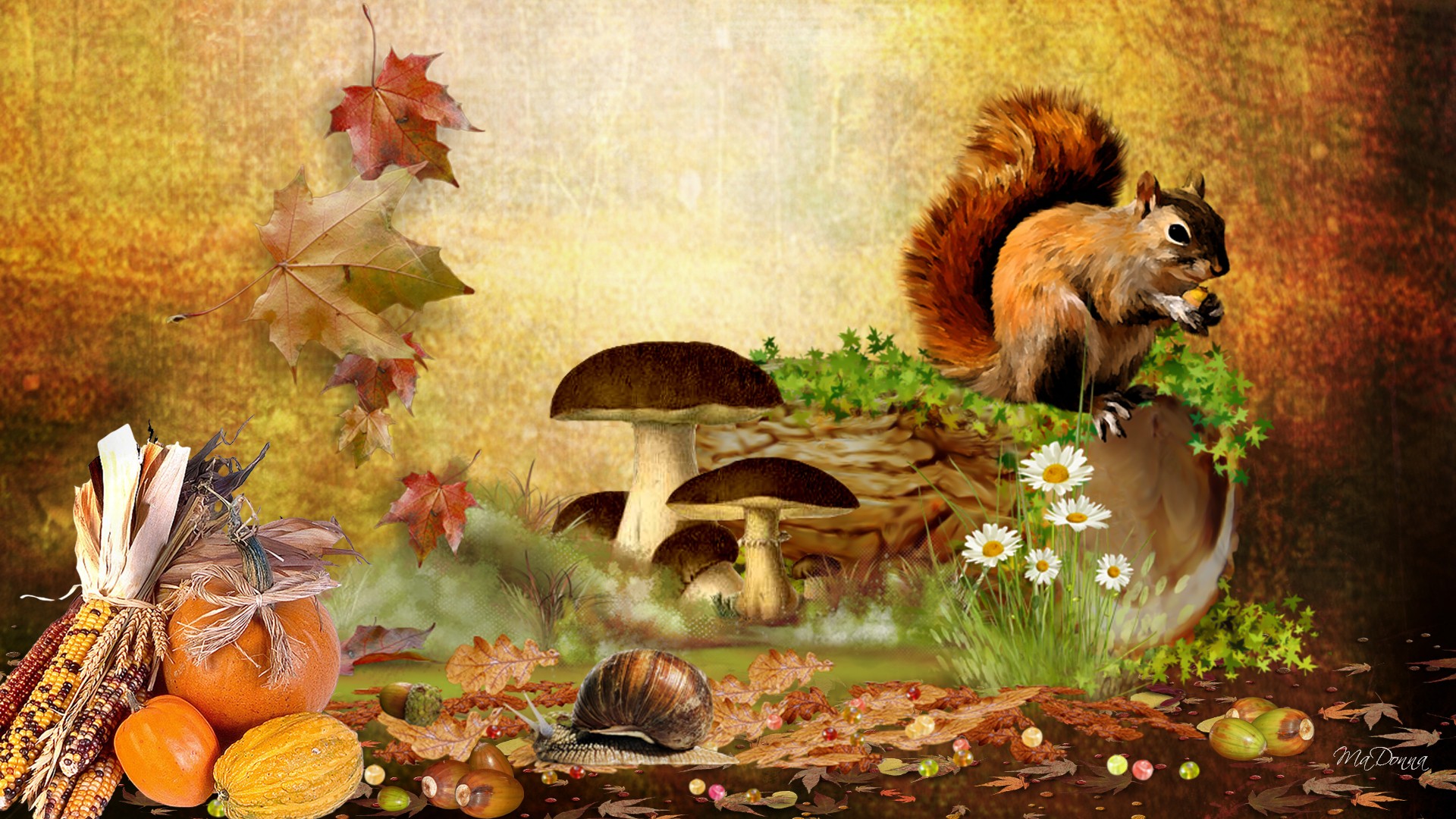 Fall Animal Wallpapers