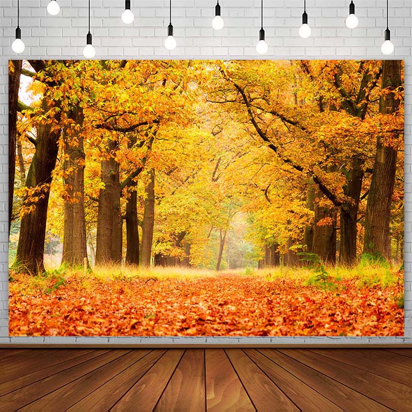 Fall Backgrounds Photography