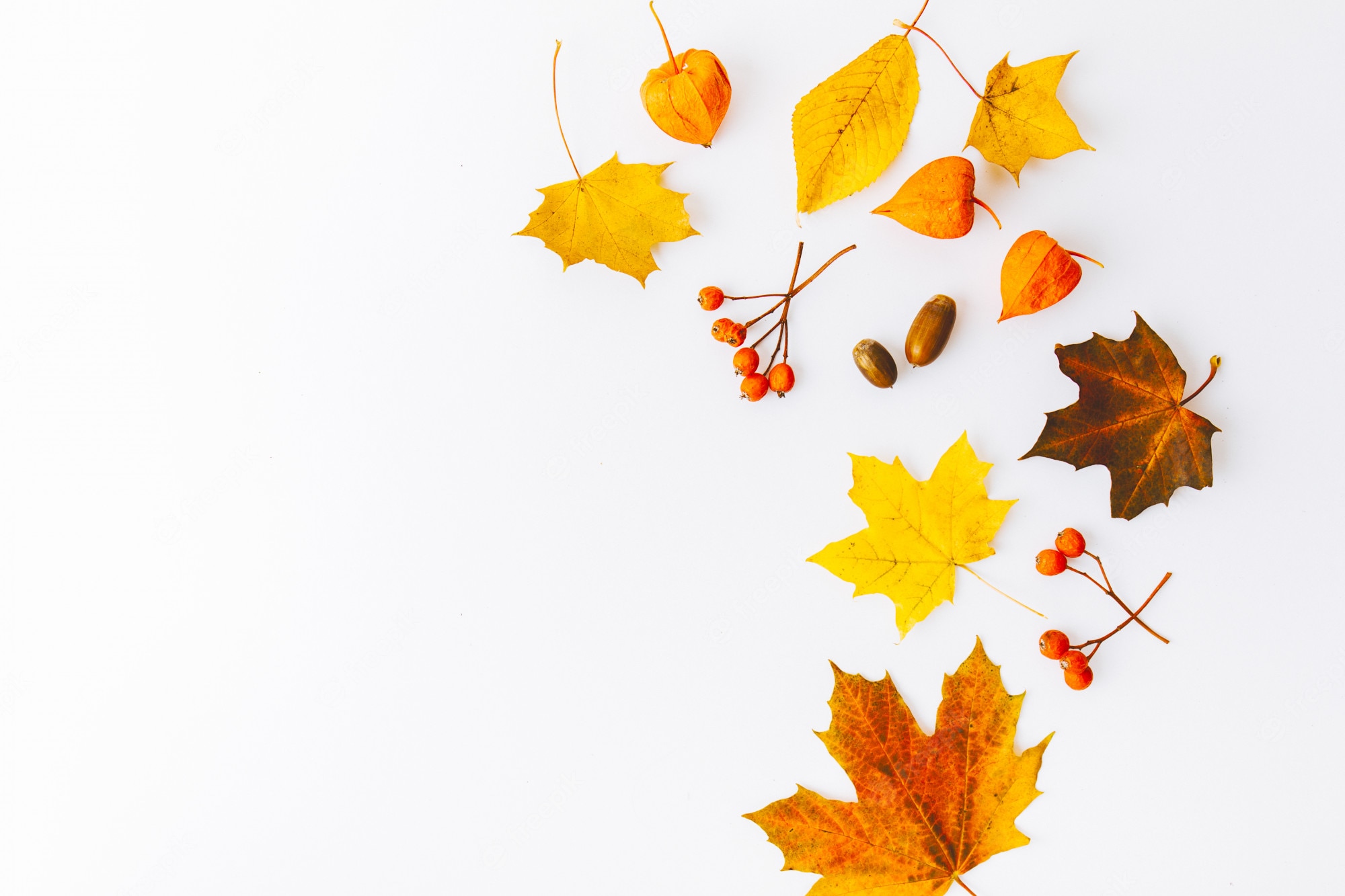 Fall Backgrounds Photography