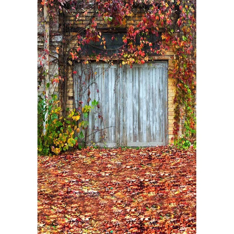 Fall Backgrounds Photography