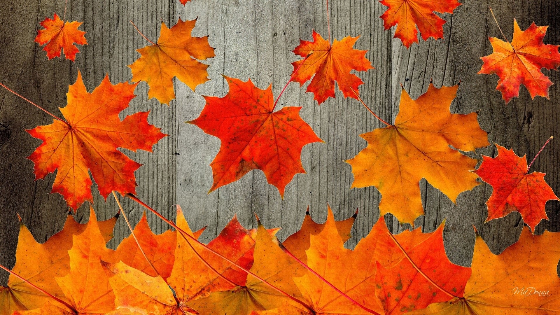 Fall Computer Backgrounds