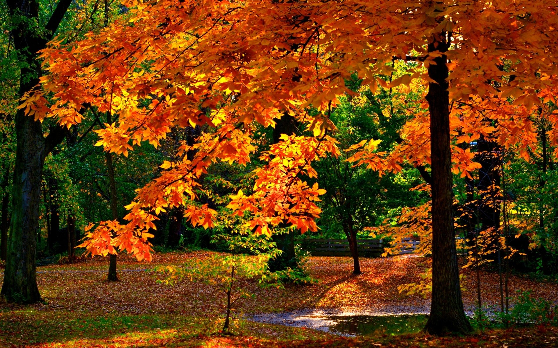 Fall Day Images Wallpapers