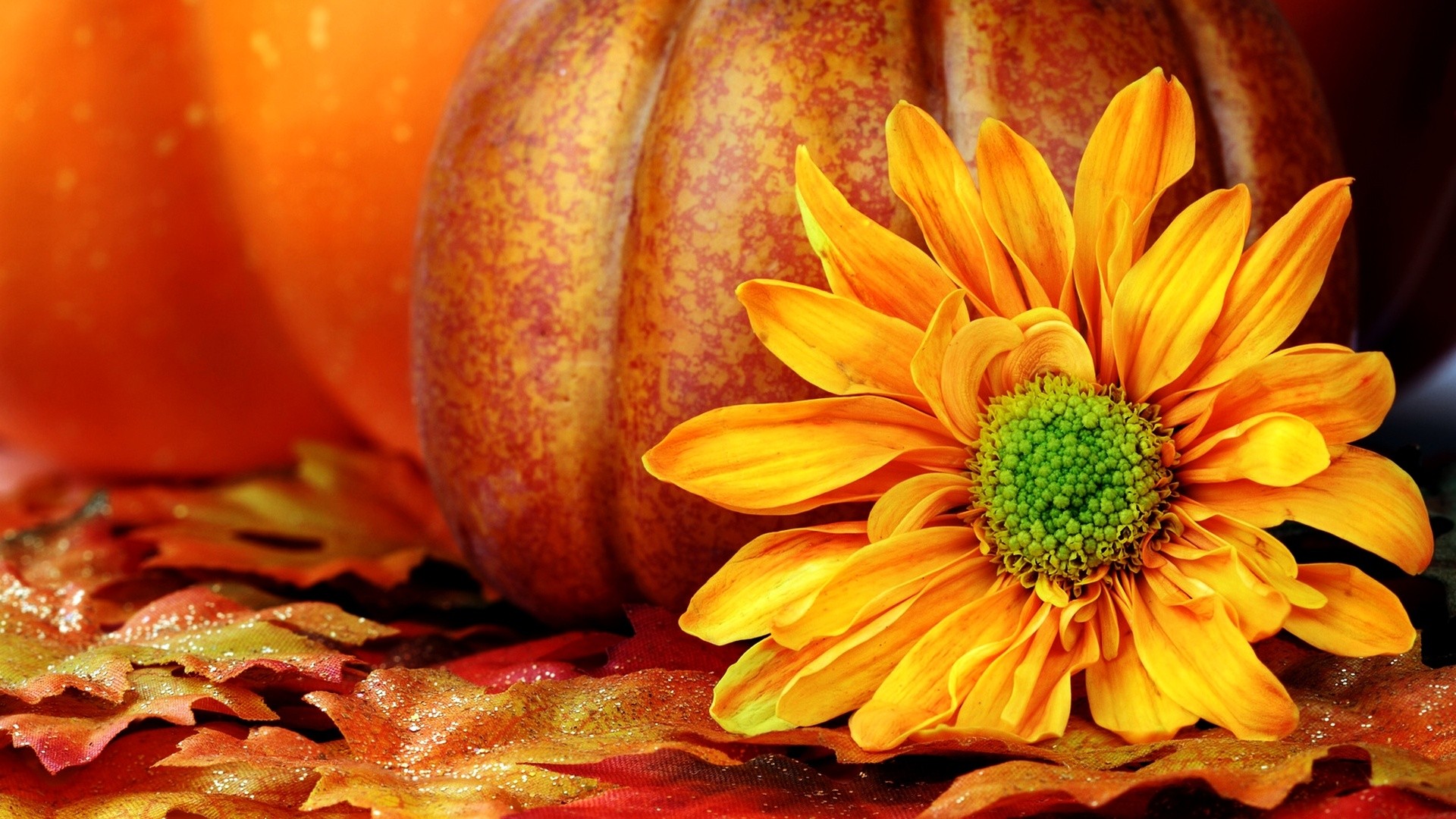 Fall Floral Desktop Wallpapers