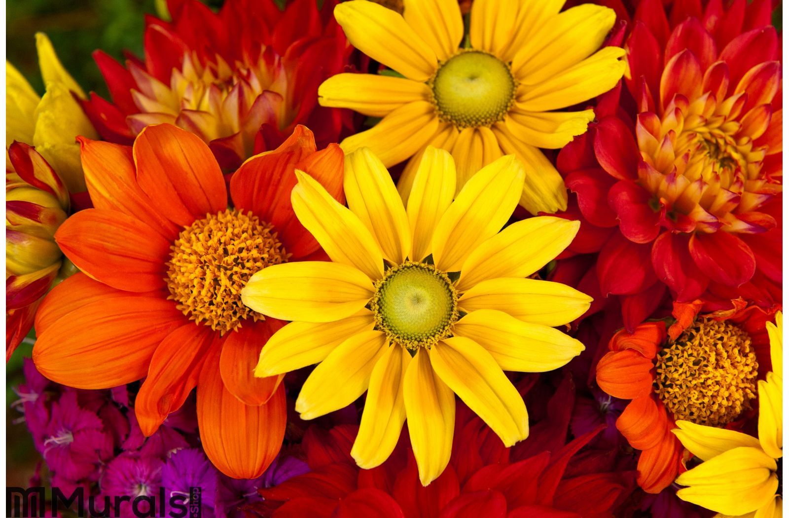 Fall Flowers Desktop Backgrounds