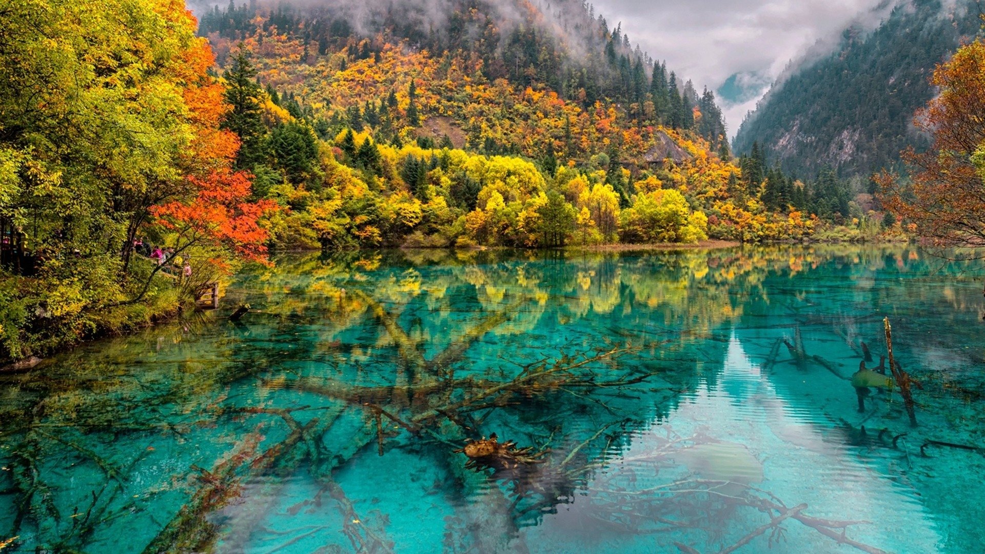 Fall Foliage Forest Lake Nature Reflection Wallpapers