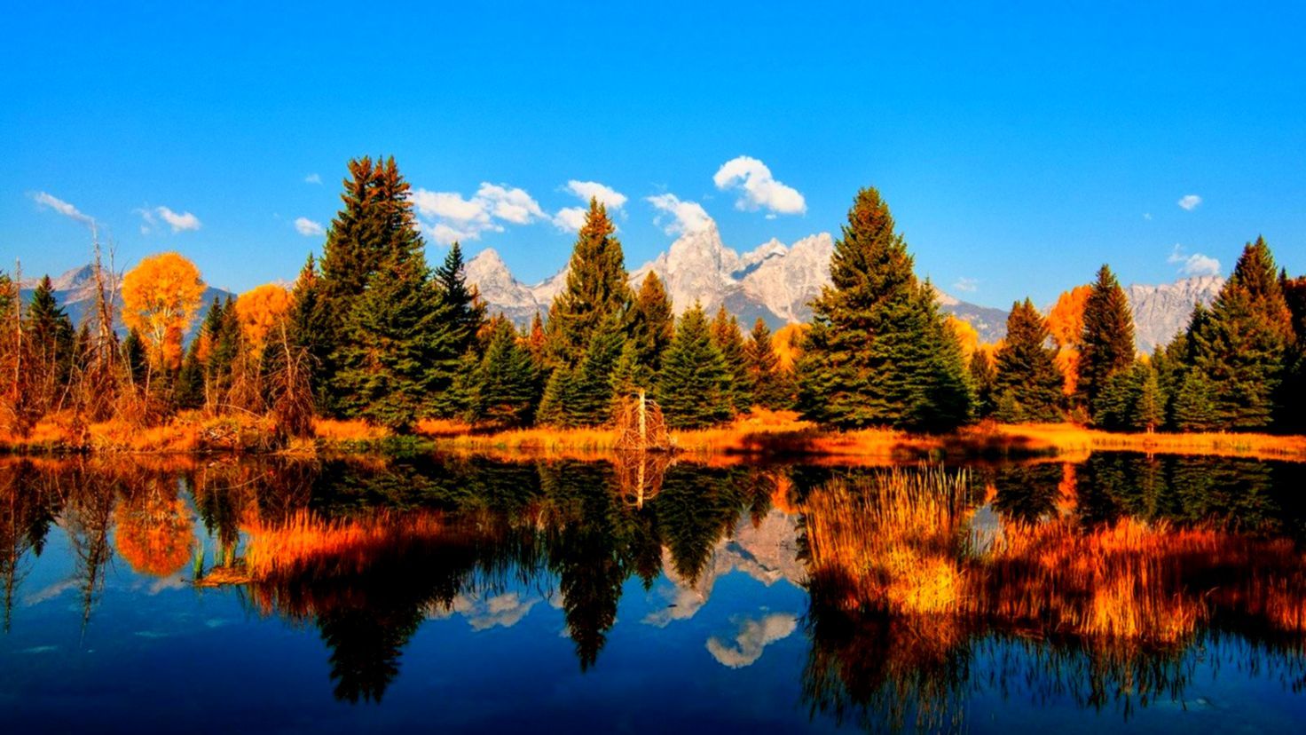 Fall Foliage Forest Lake Nature Reflection Wallpapers