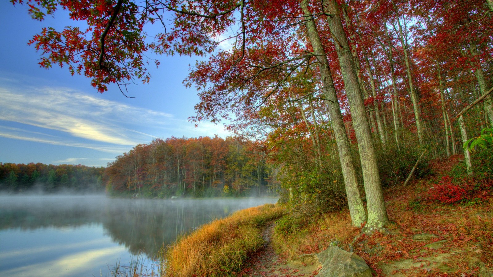 Fall Foliage Forest Lake Nature Reflection Wallpapers