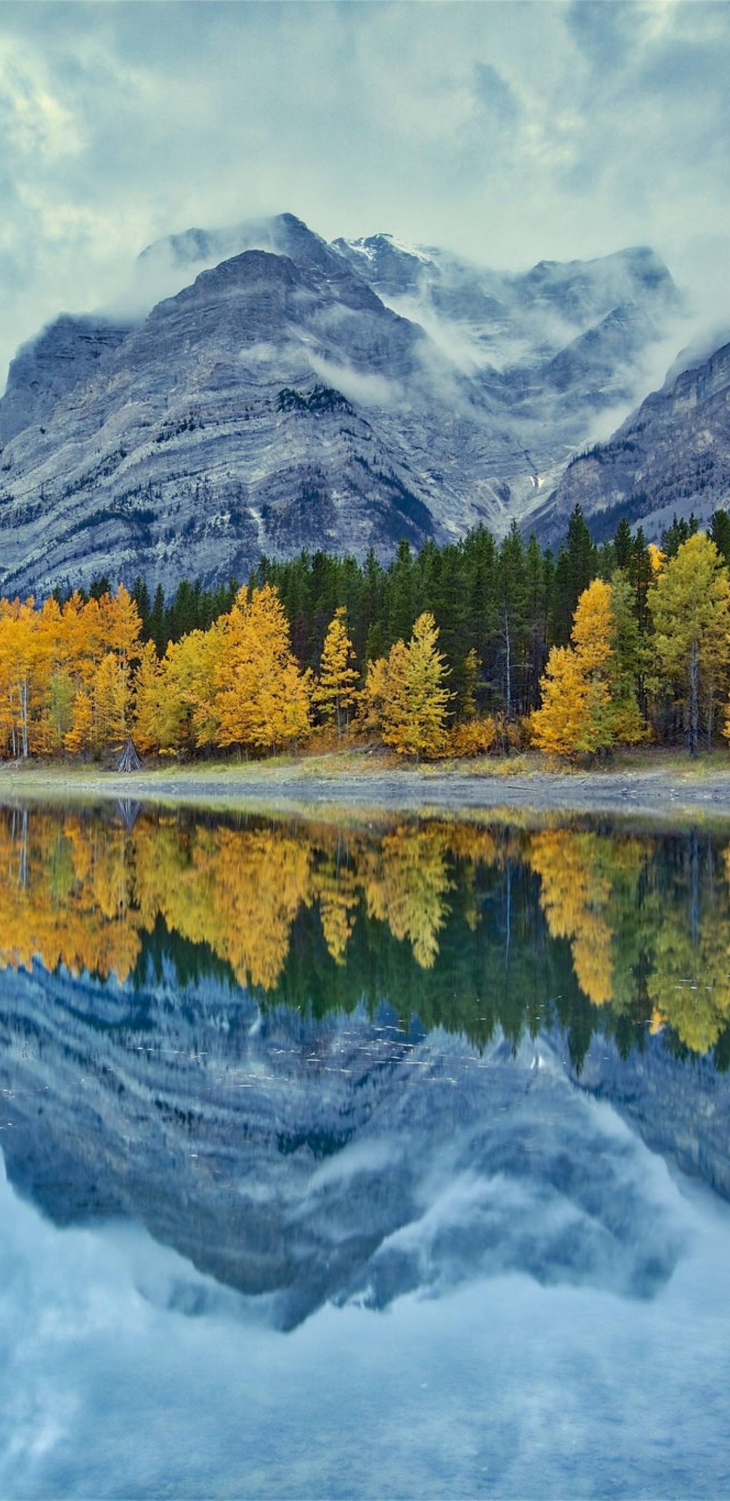 Fall Foliage Forest Lake Nature Reflection Wallpapers