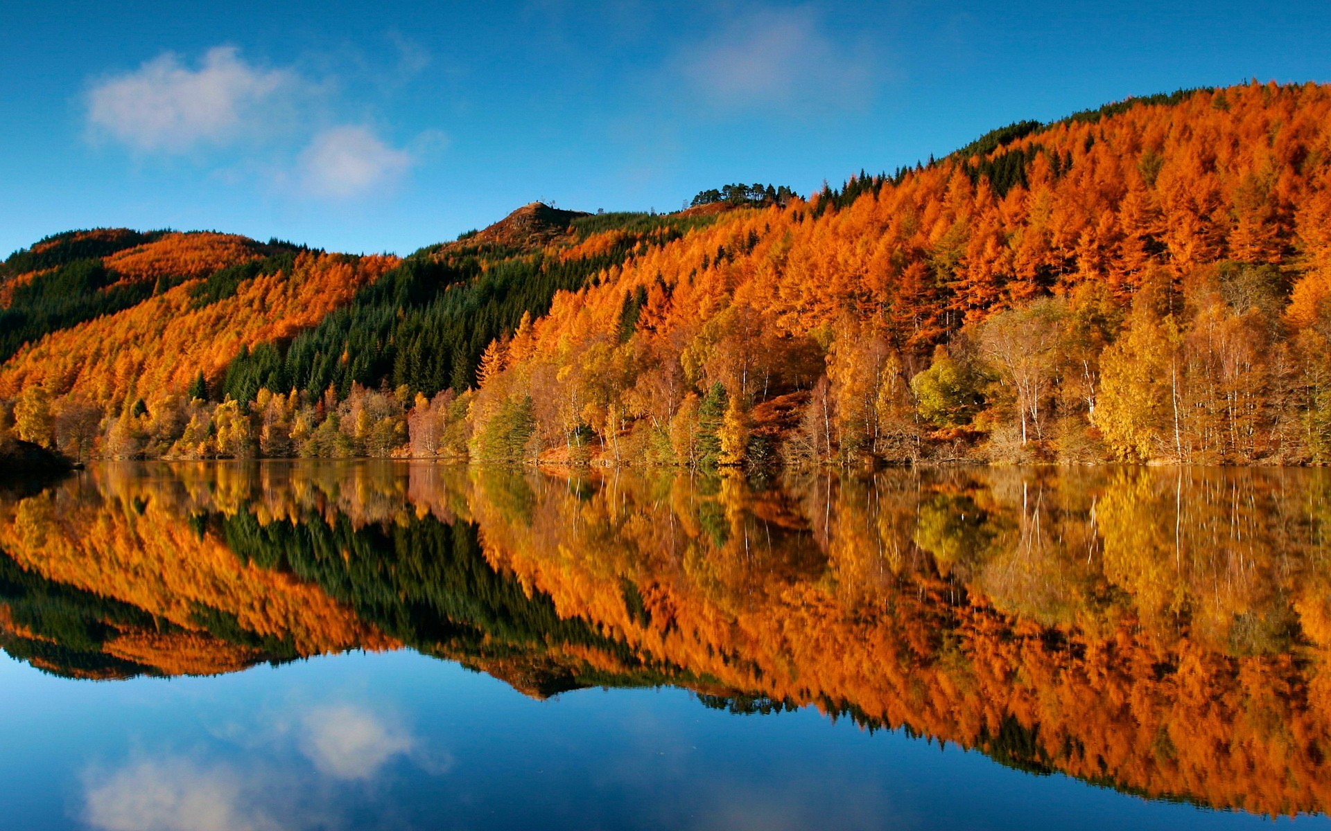 Fall Foliage Forest Lake Nature Reflection Wallpapers