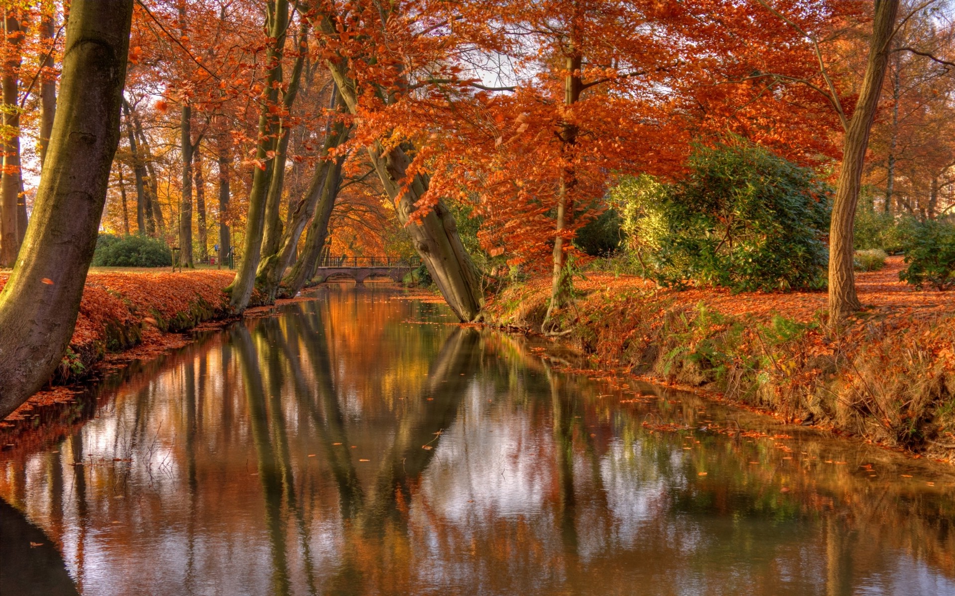 Fall Foliage Forest Lake Nature Reflection Wallpapers