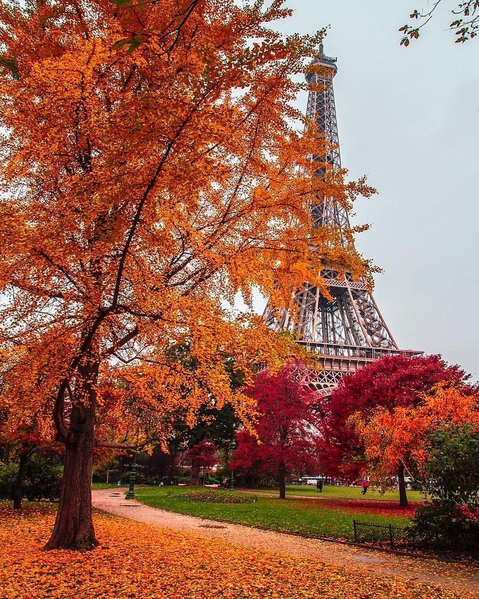 Fall In Paris Wallpapers