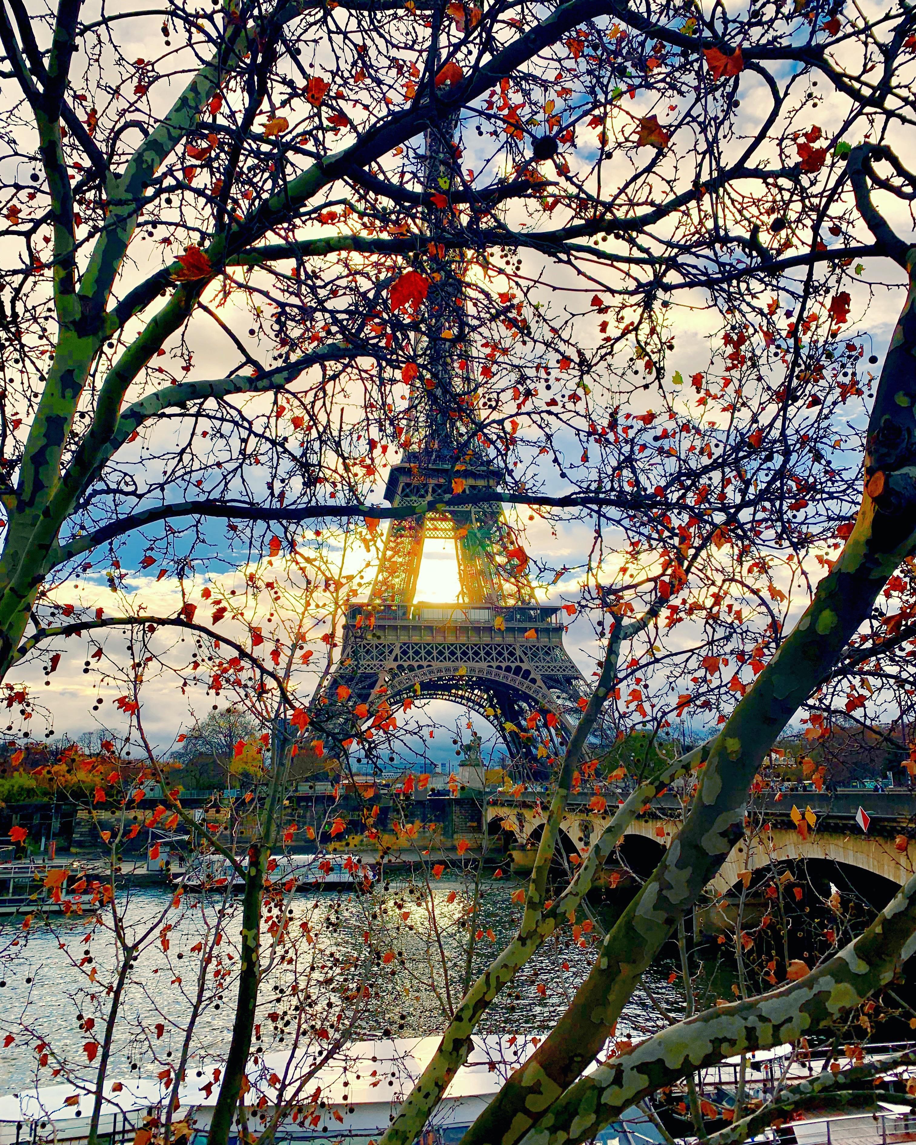 Fall In Paris Wallpapers