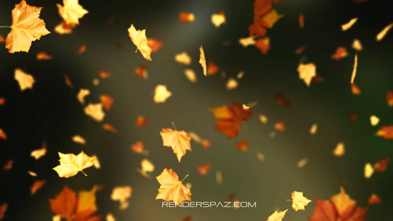 Fall Leaves Wallpapers