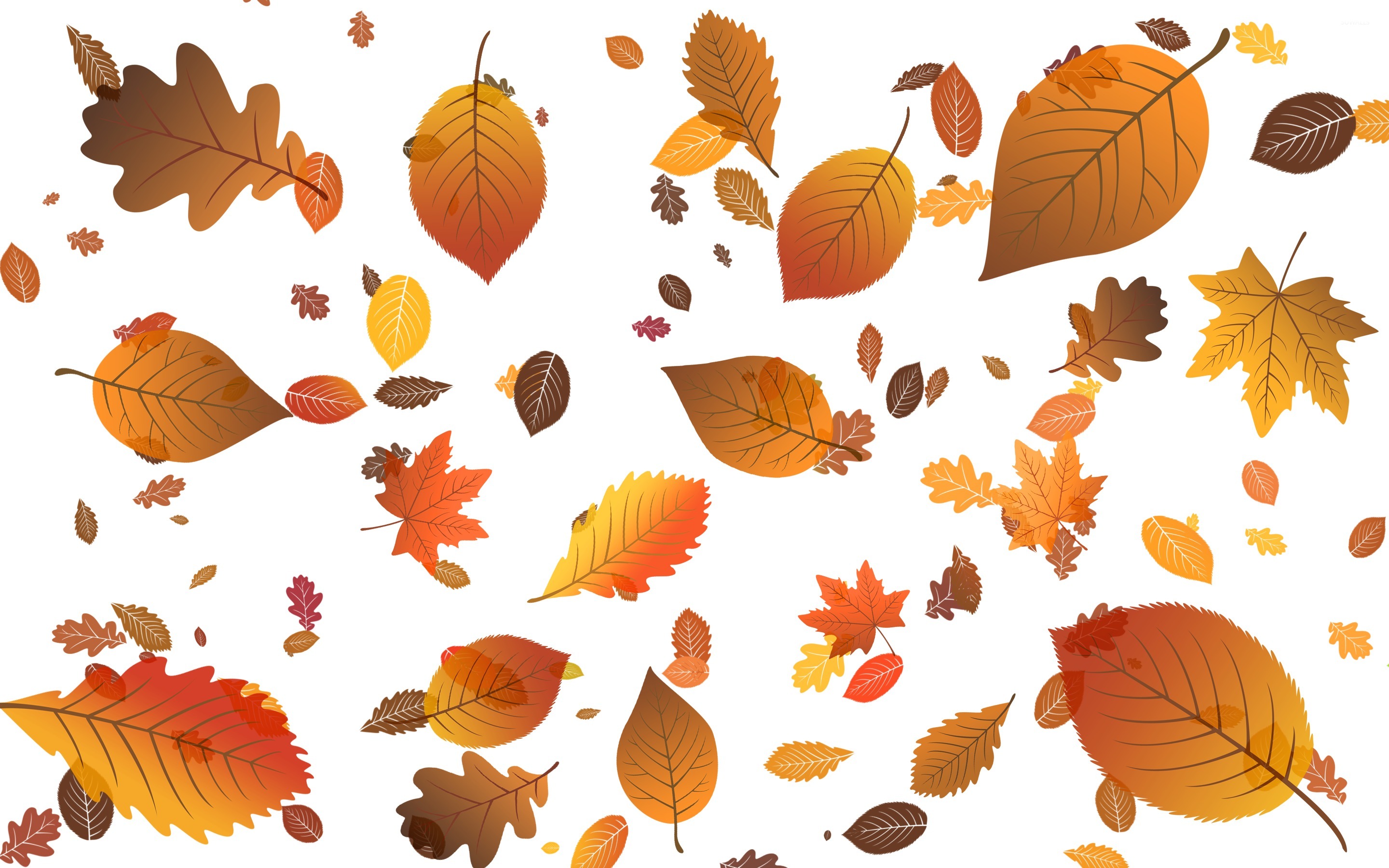 Fall Leaves Wallpapers