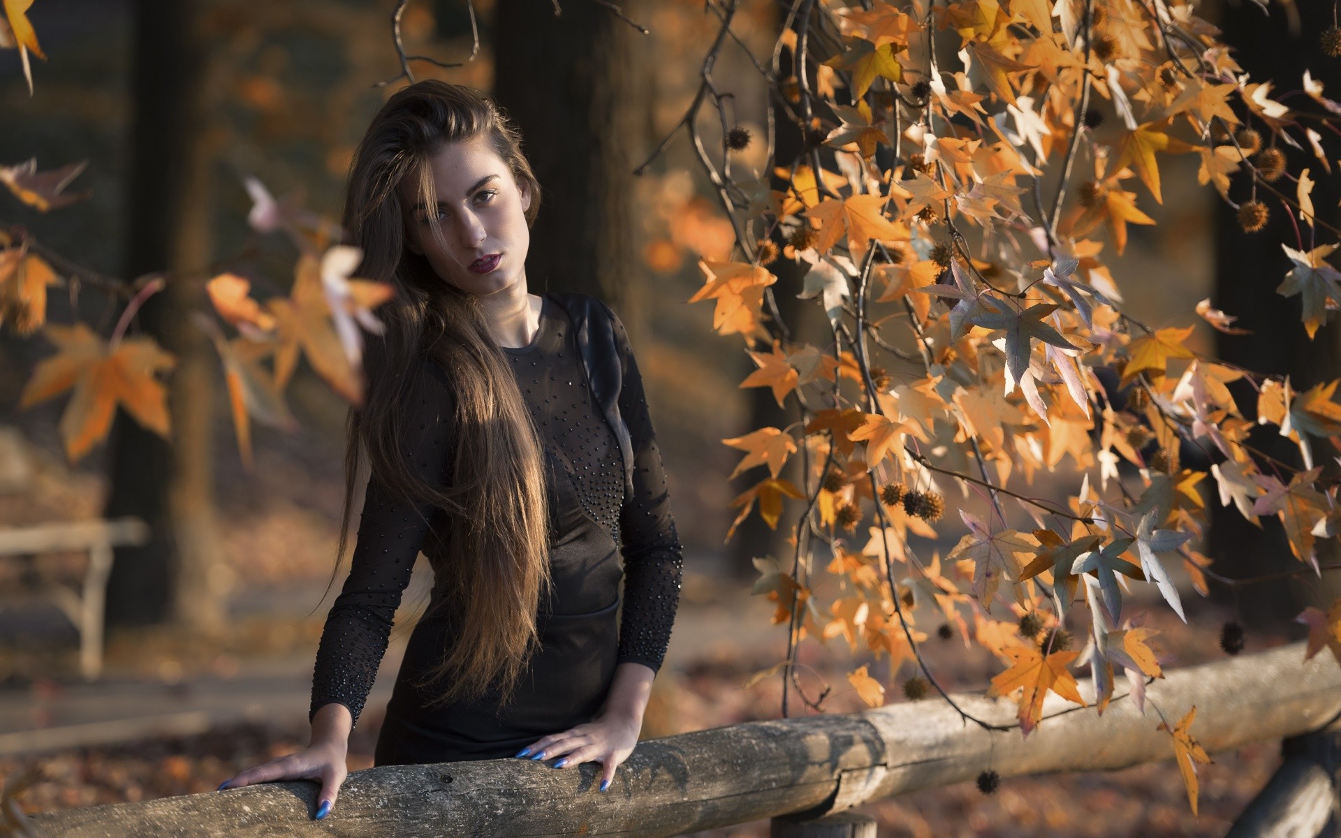 Fall Model Photography Wallpapers