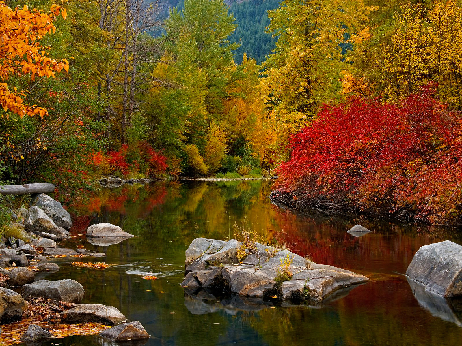 Fall Mountain Lake Wallpapers