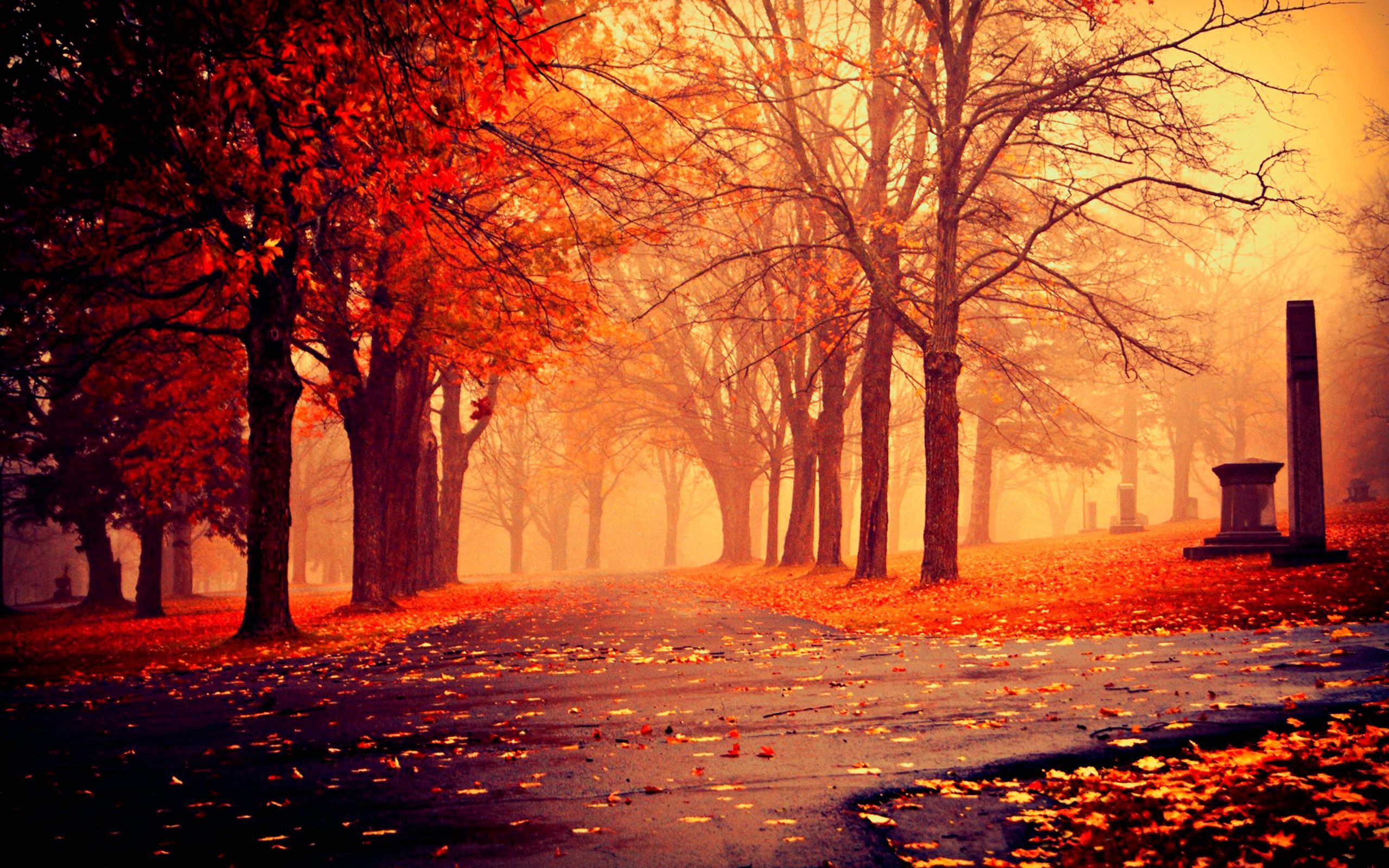 Fall Nature Pictures Wallpapers