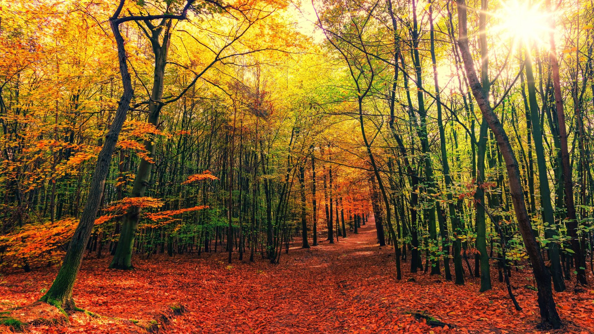 Fall Nature Pictures Wallpapers