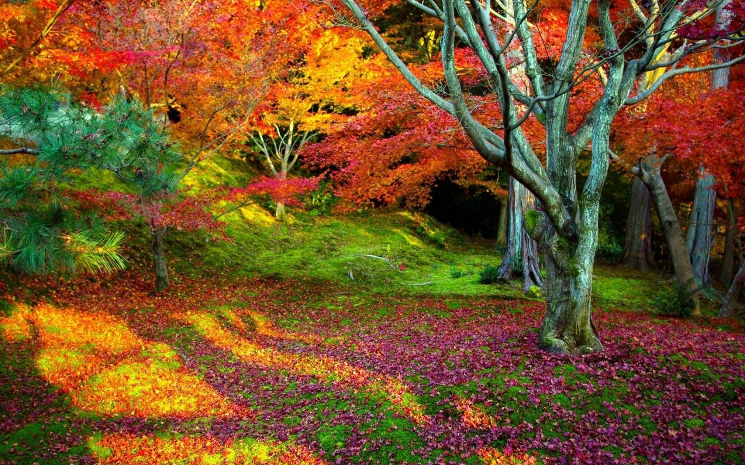 Fall Nature Pictures Wallpapers