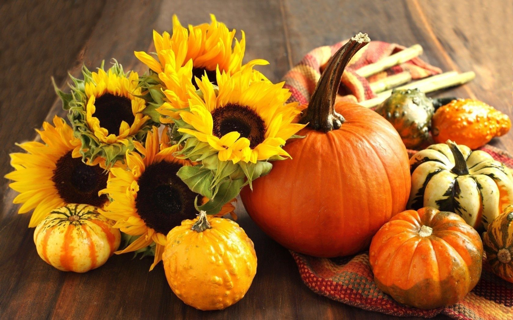 Fall Pictures With Pumpkins And Sunflowers Wallpapers