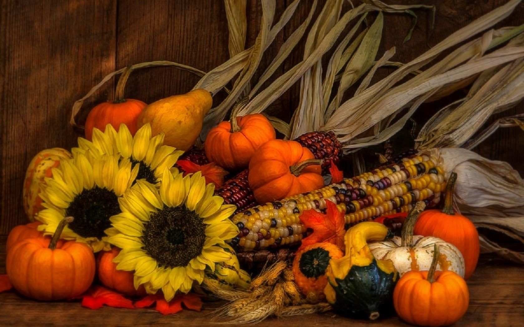 Fall Pictures With Pumpkins And Sunflowers Wallpapers