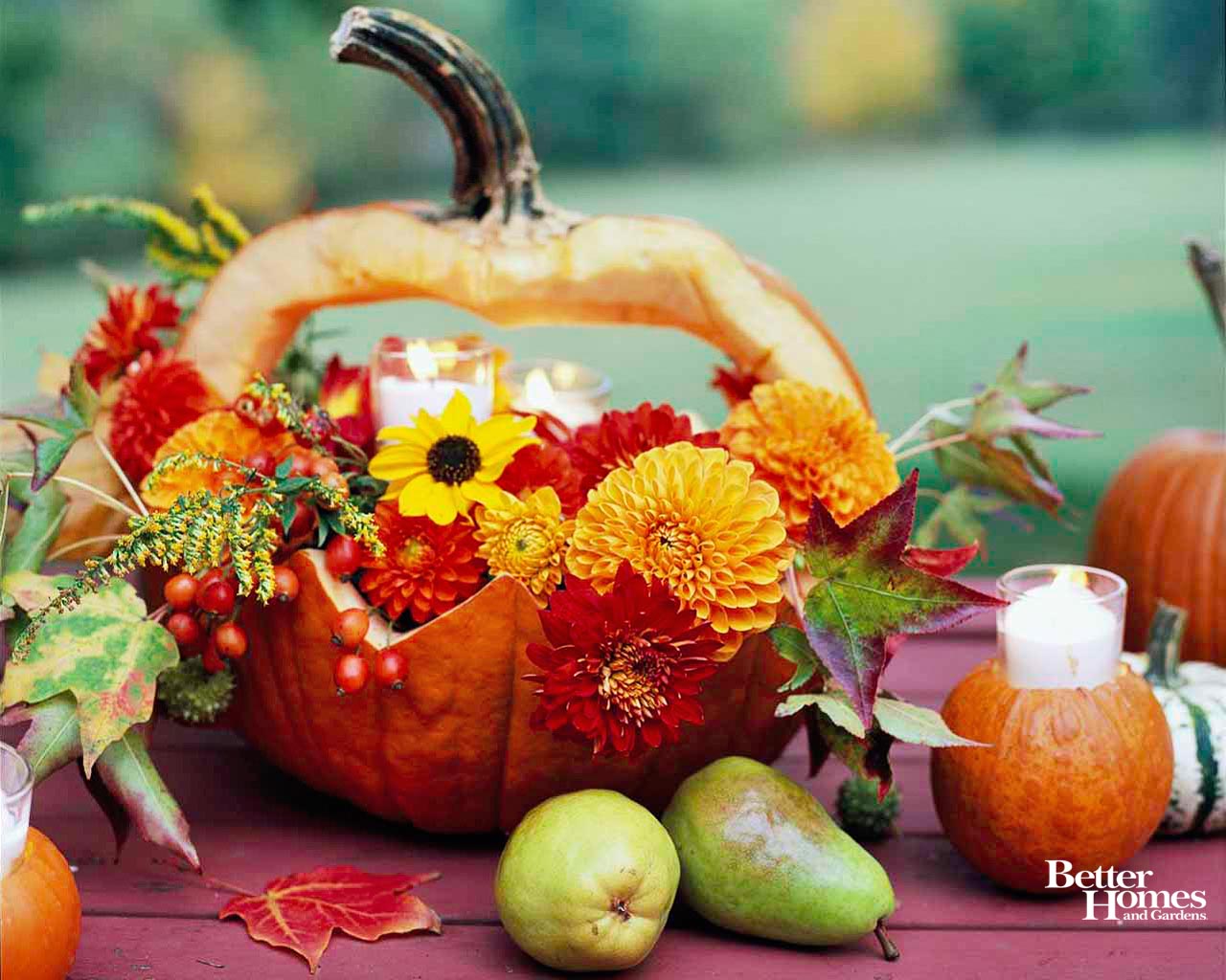 Fall Pictures With Pumpkins And Sunflowers Wallpapers