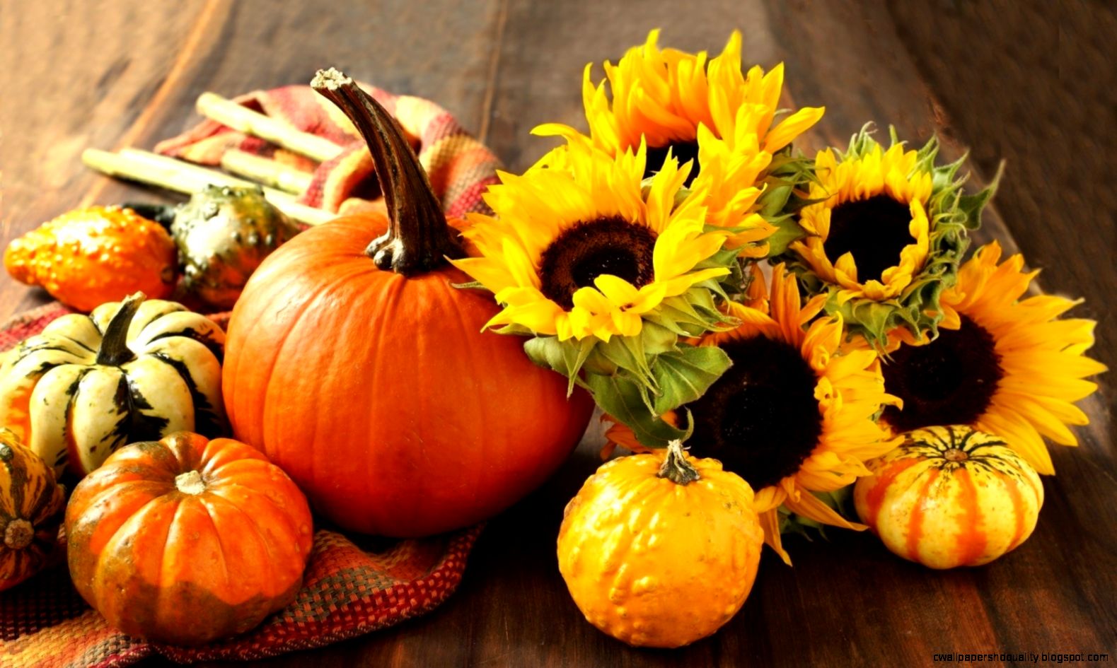 Fall Pictures With Pumpkins And Sunflowers Wallpapers