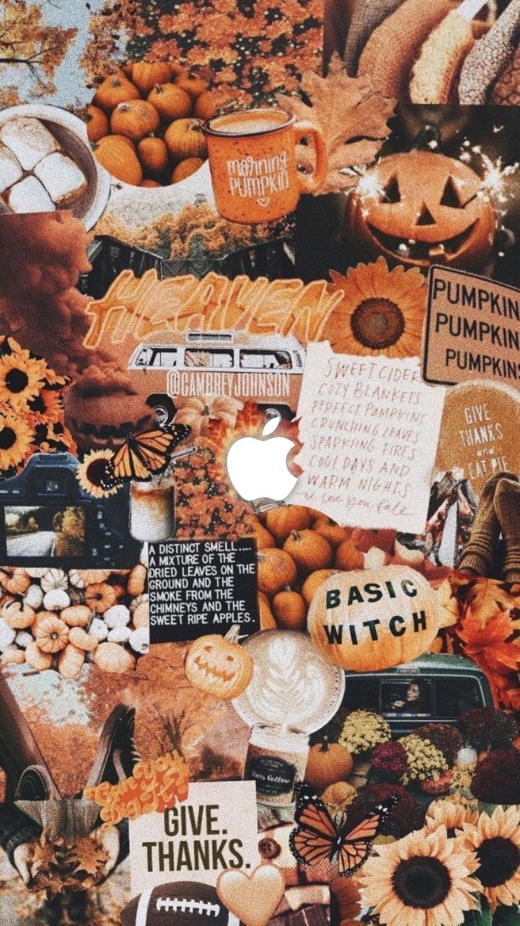 Fall Pumpkin Iphone Wallpapers