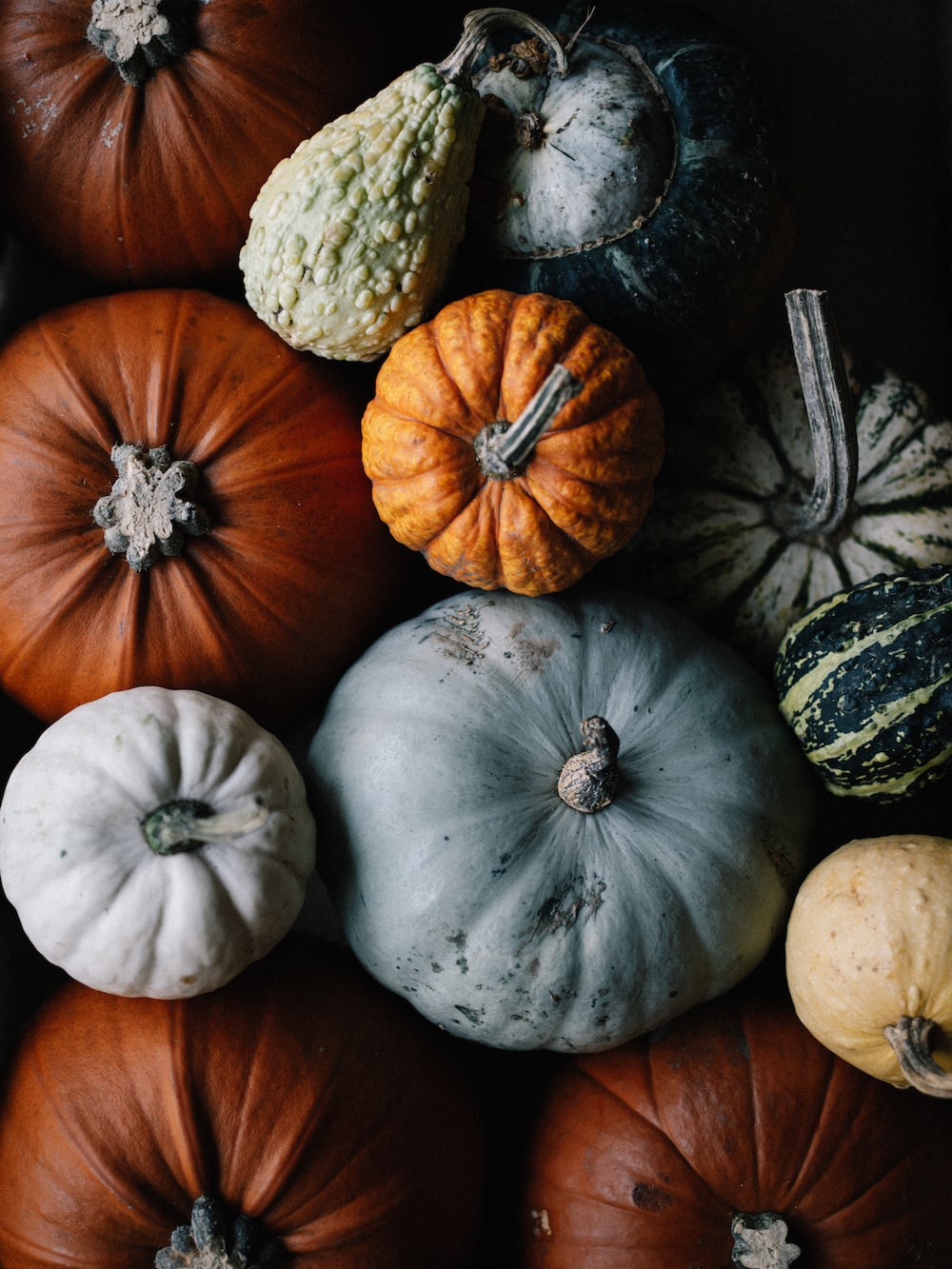 Fall Pumpkins Wallpapers