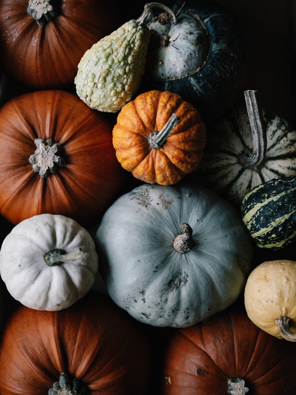 Fall Scenes With Pumpkins Wallpapers