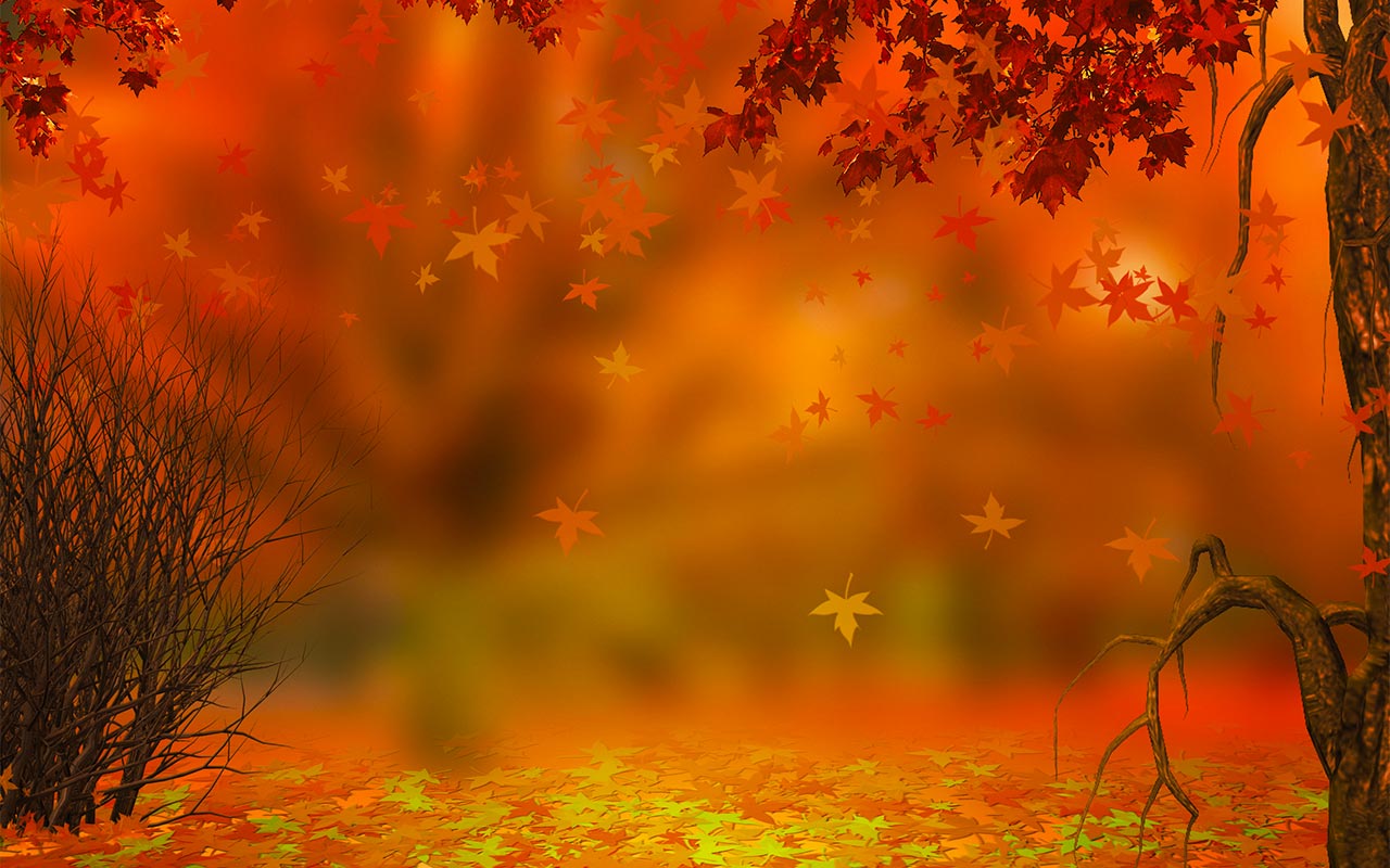 Fall Thanksgiving Wallpapers