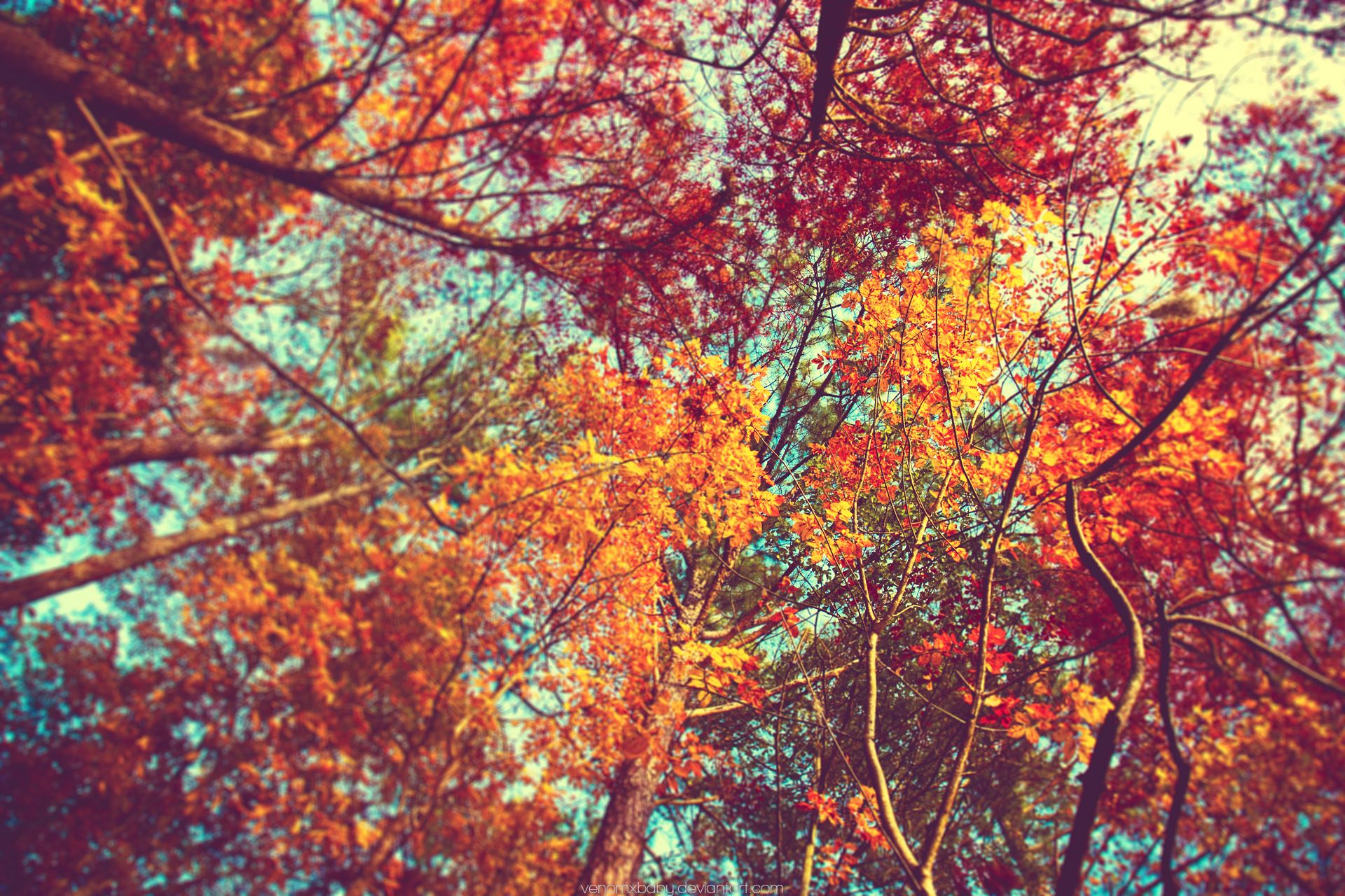 Fall Tumblr Background