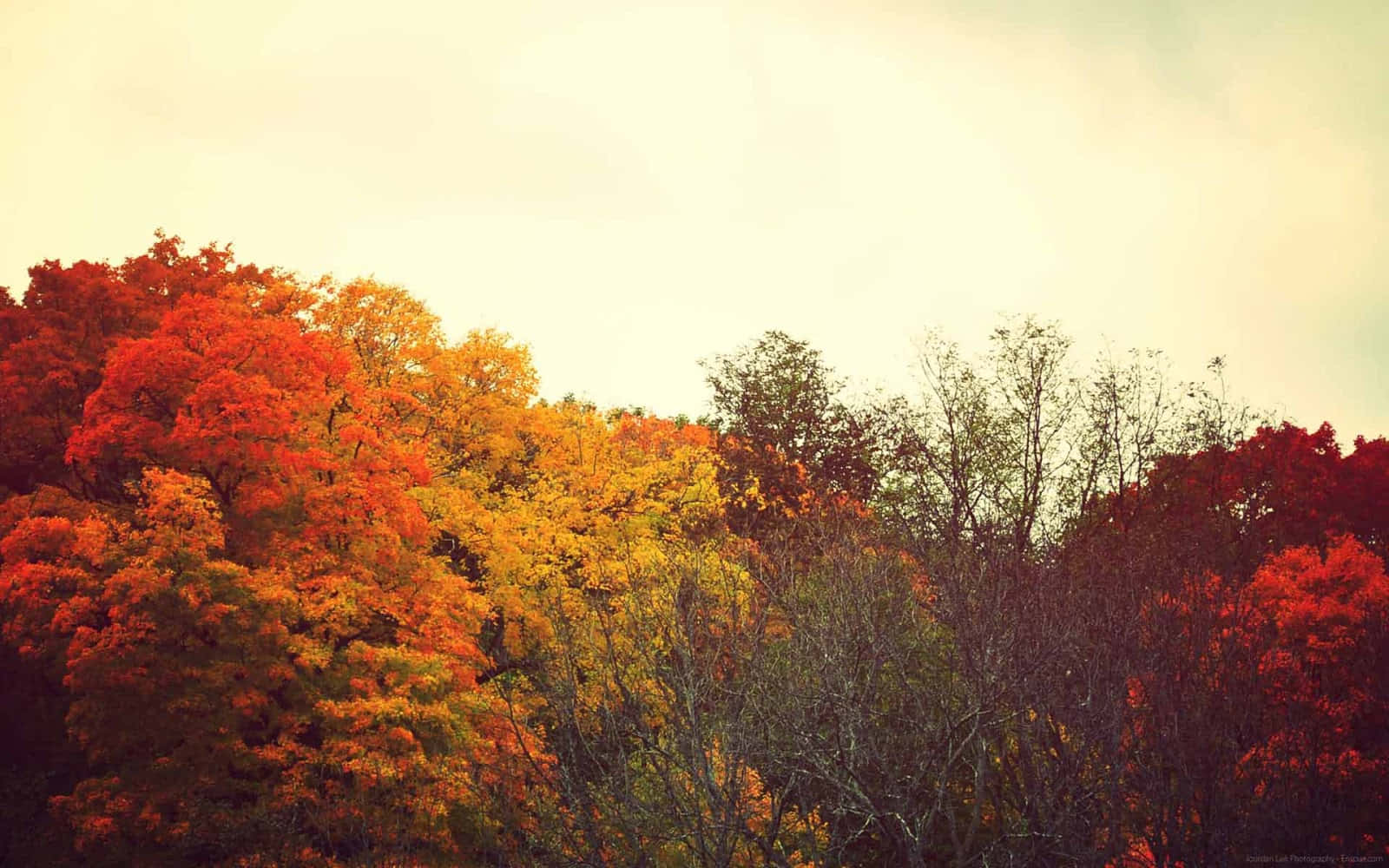 Fall Tumblr Background