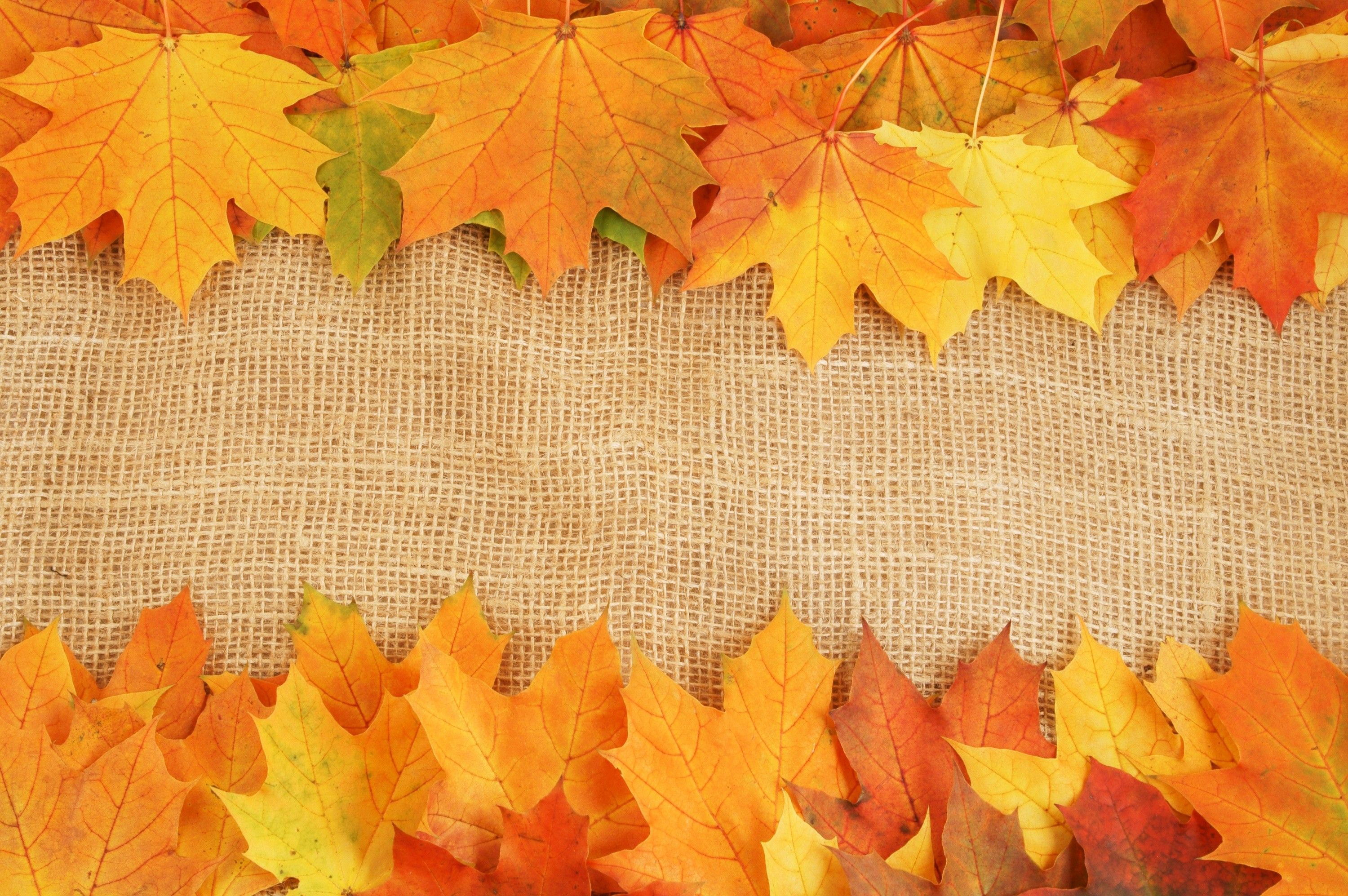 Fall Tumblr Background