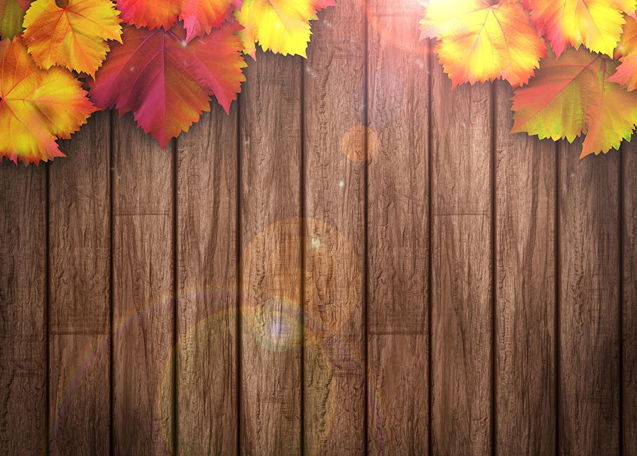 Fall Wood Background