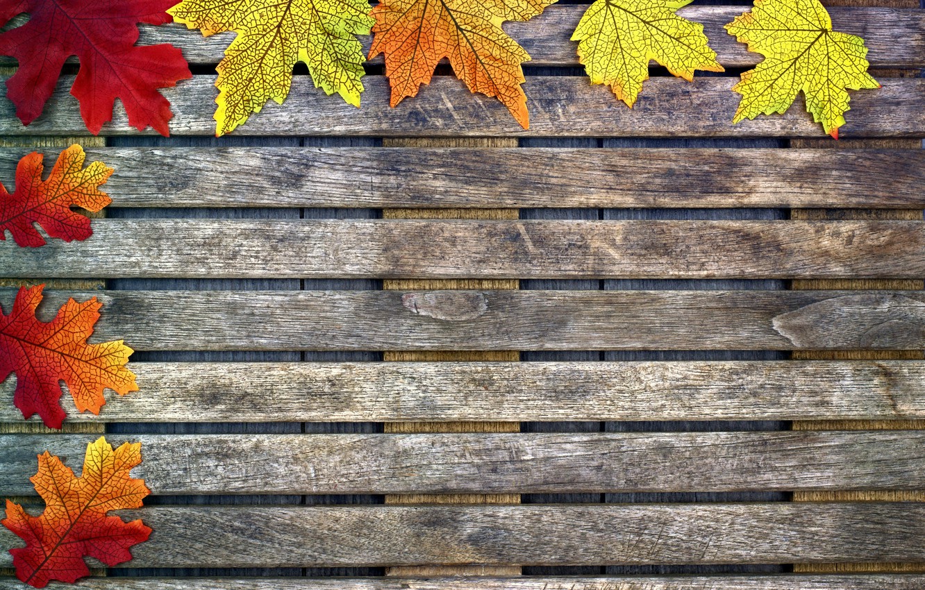 Fall Wood Background