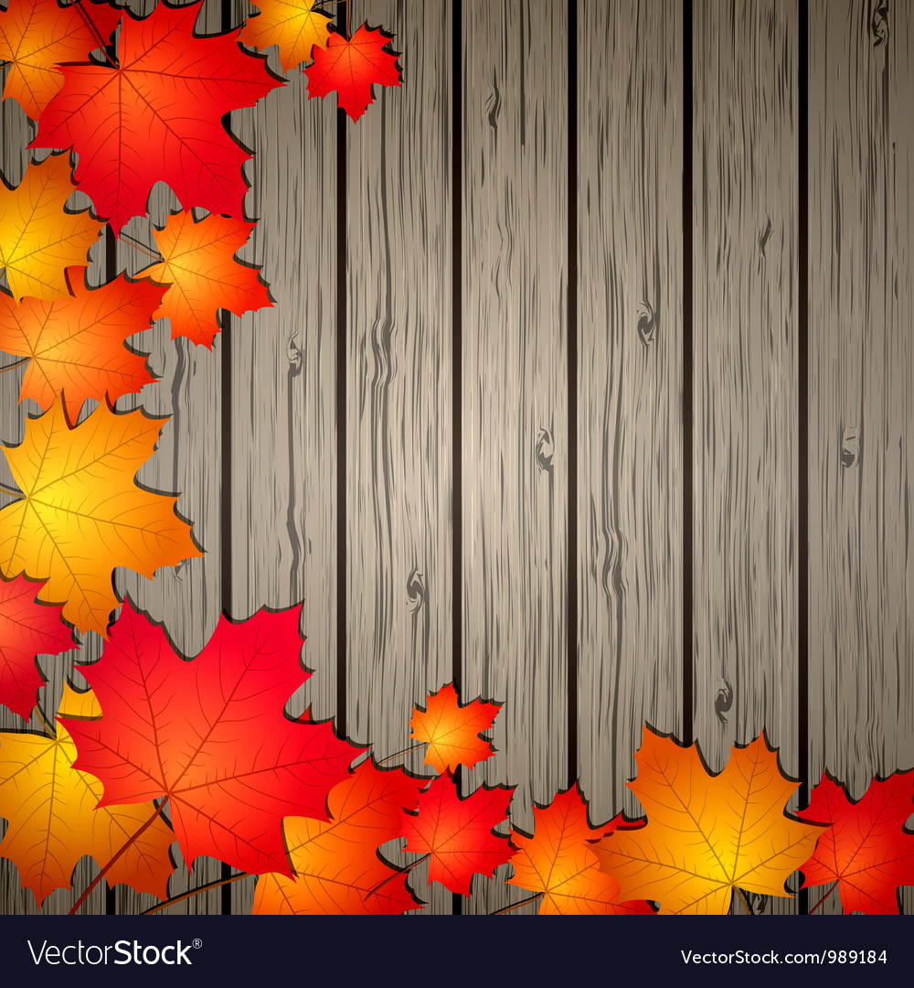 Fall Wood Background