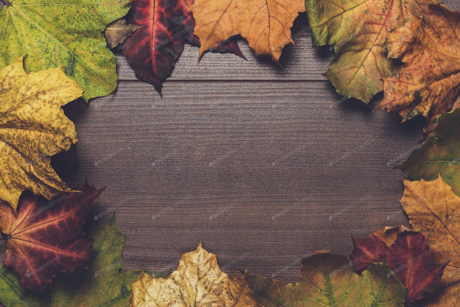 Fall Wood Background