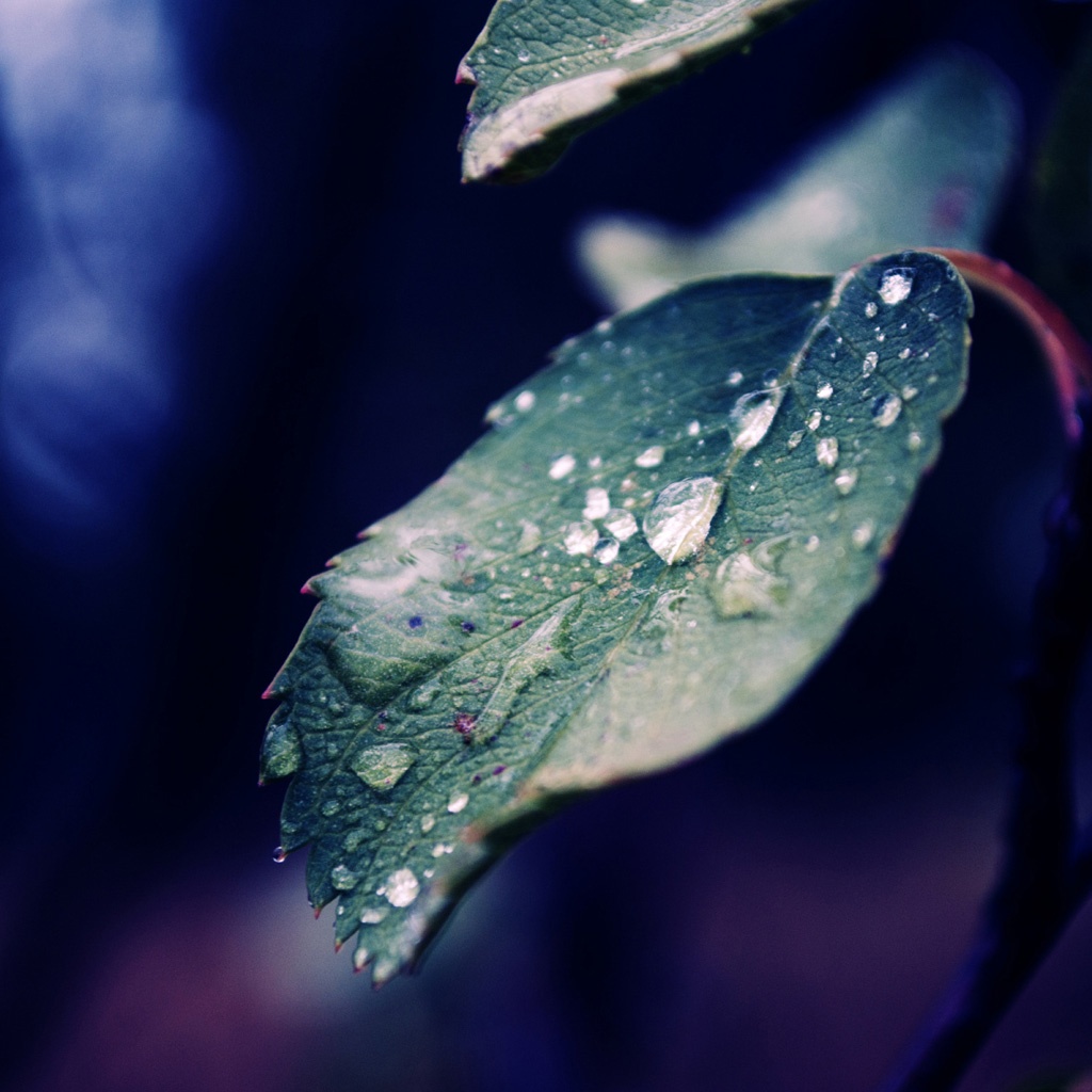 Falling Rain Background