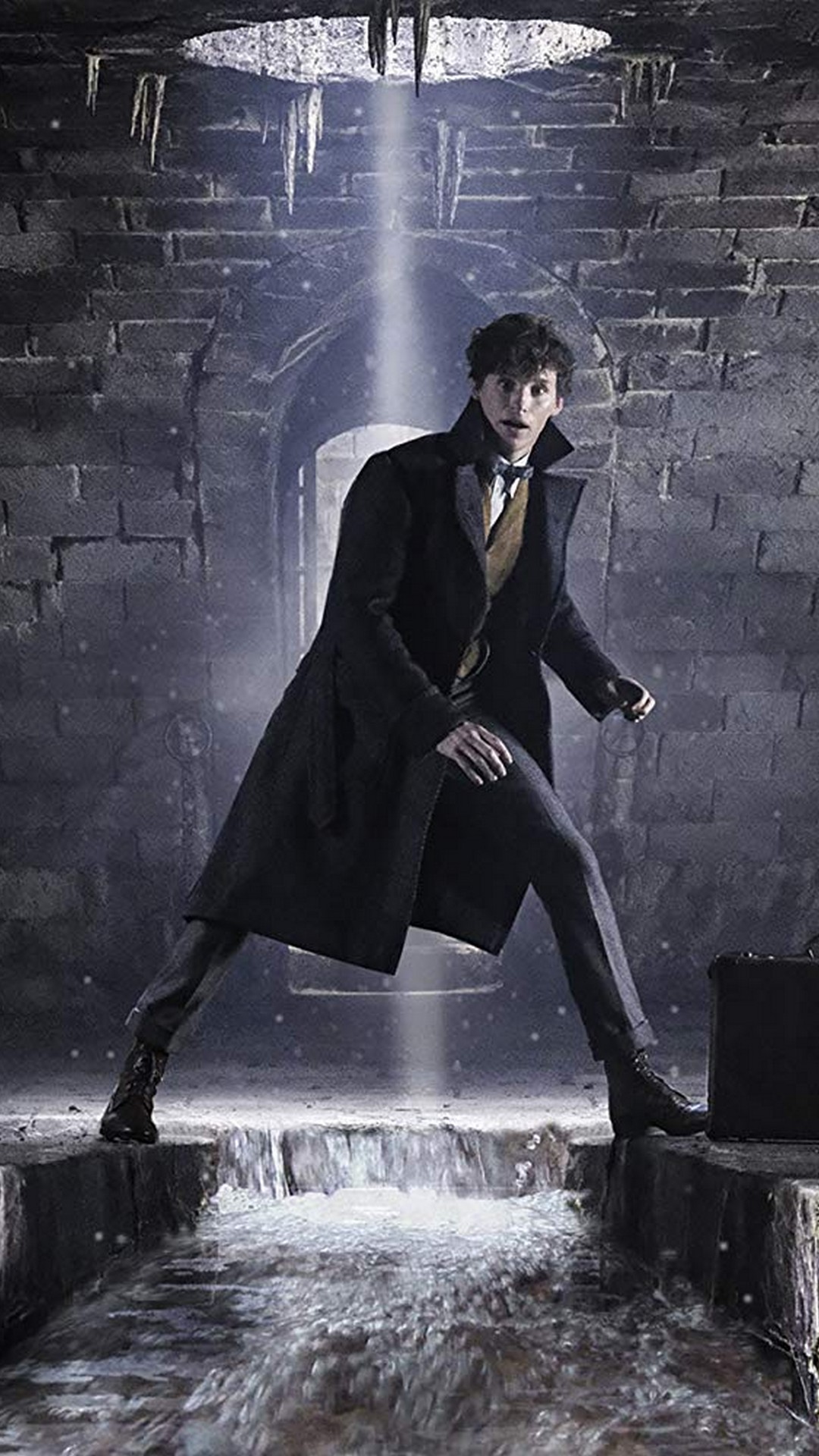 Fantastic Beasts Wallpapers