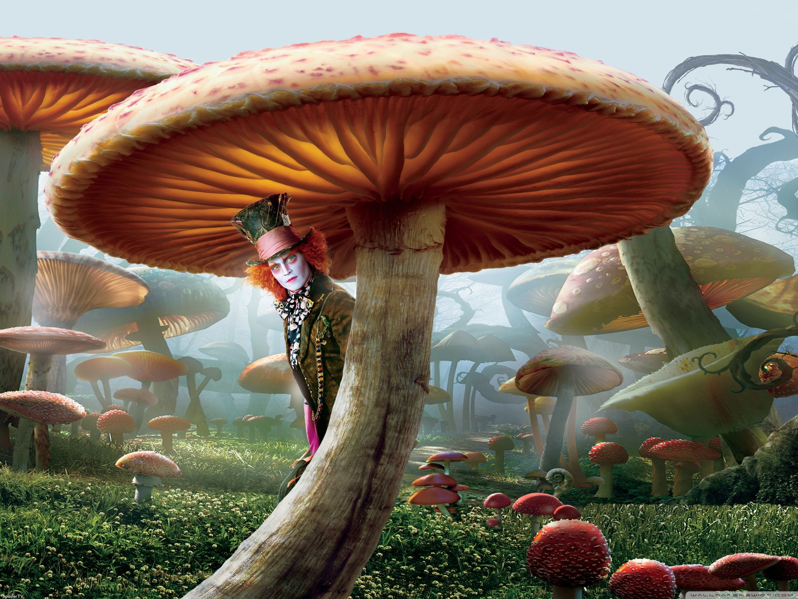 Fantasy Alice In Wonderland Wallpapers