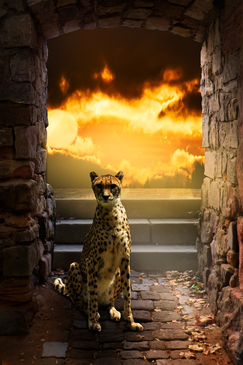 Fantasy Cheetah Wallpapers