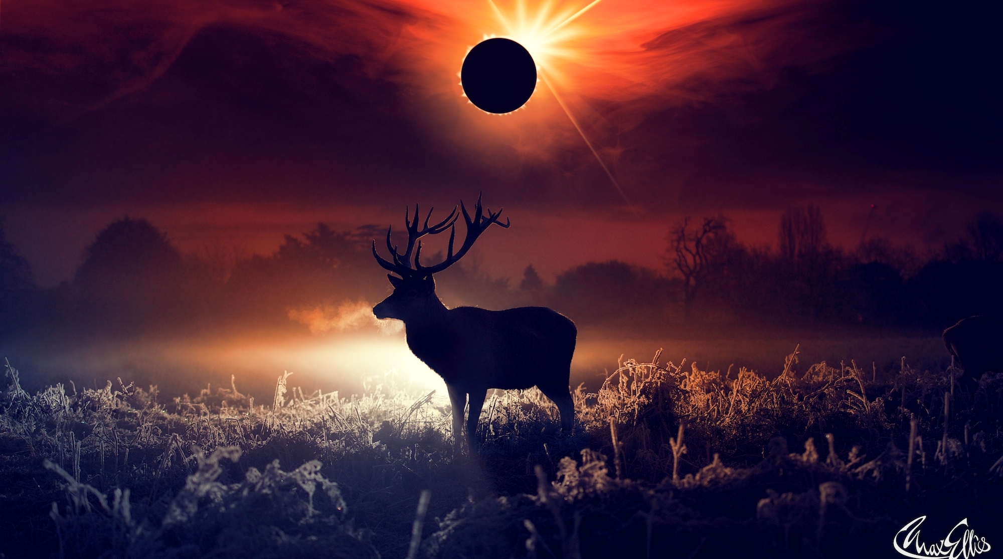 Fantasy Deer Wallpapers