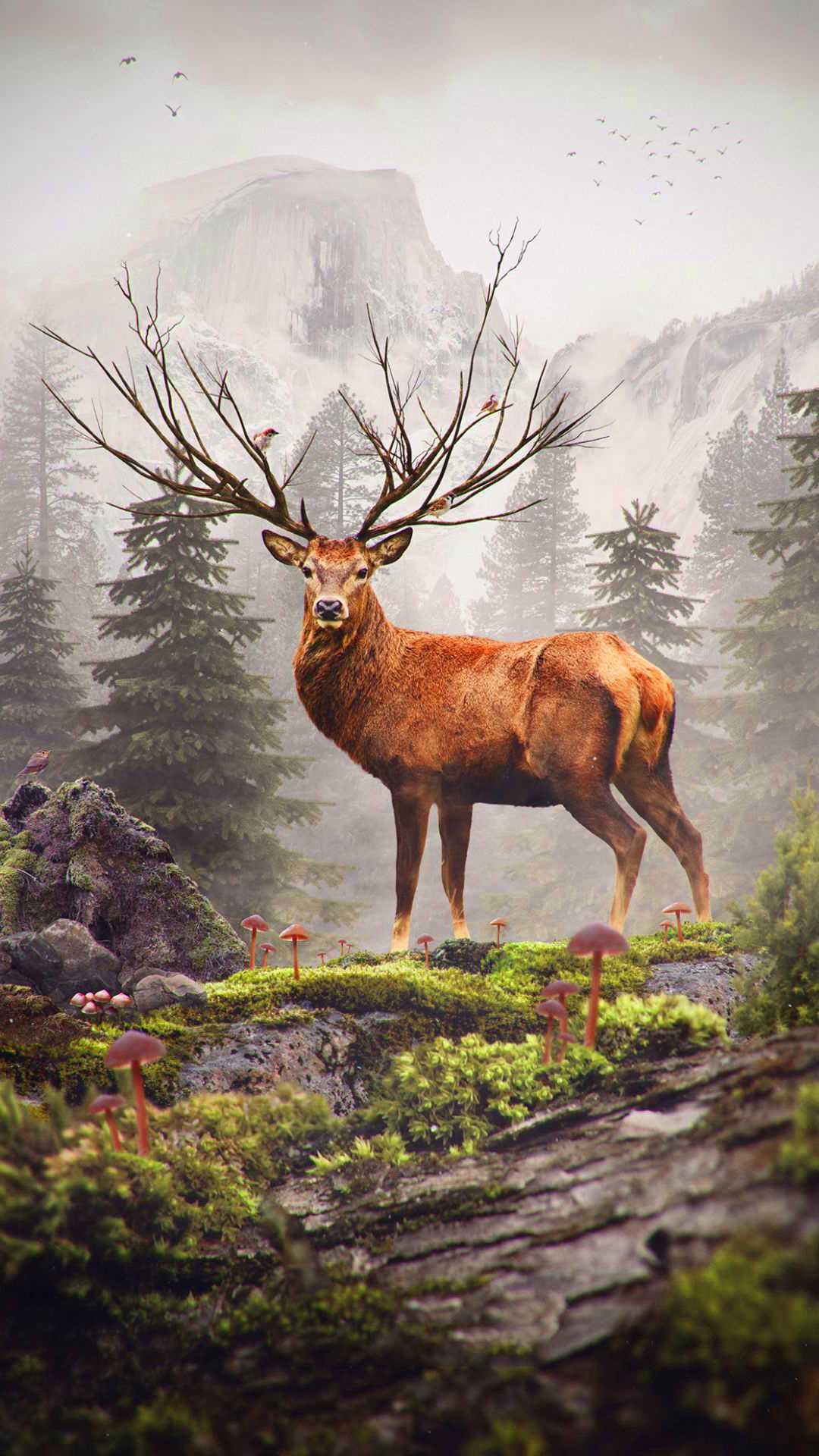 Fantasy Deer Wallpapers