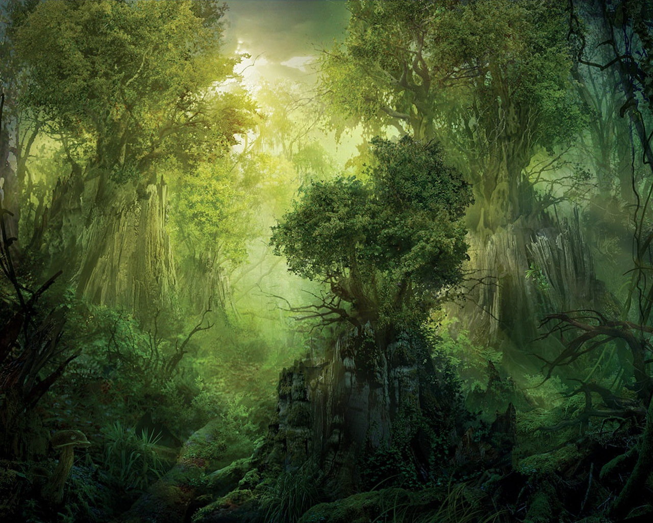 Fantasy Forest Wallpapers