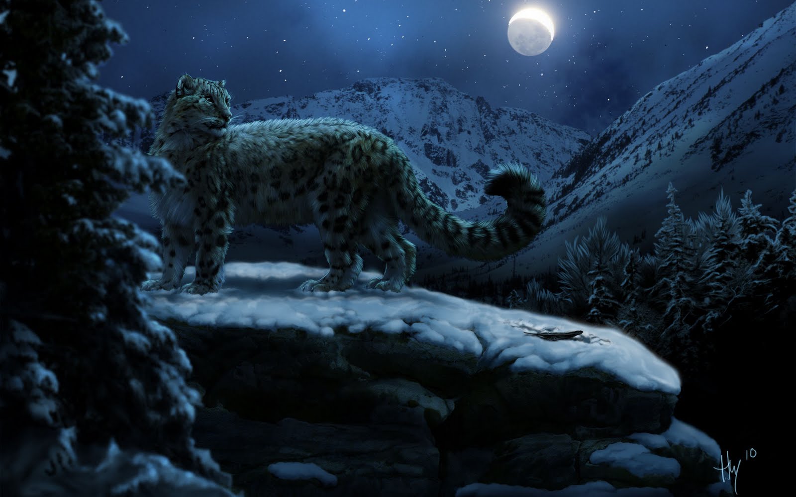 Fantasy Leopard Wallpapers