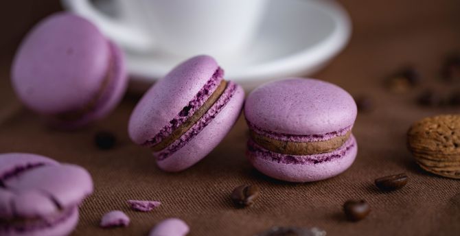 Fantasy Macaron Wallpapers