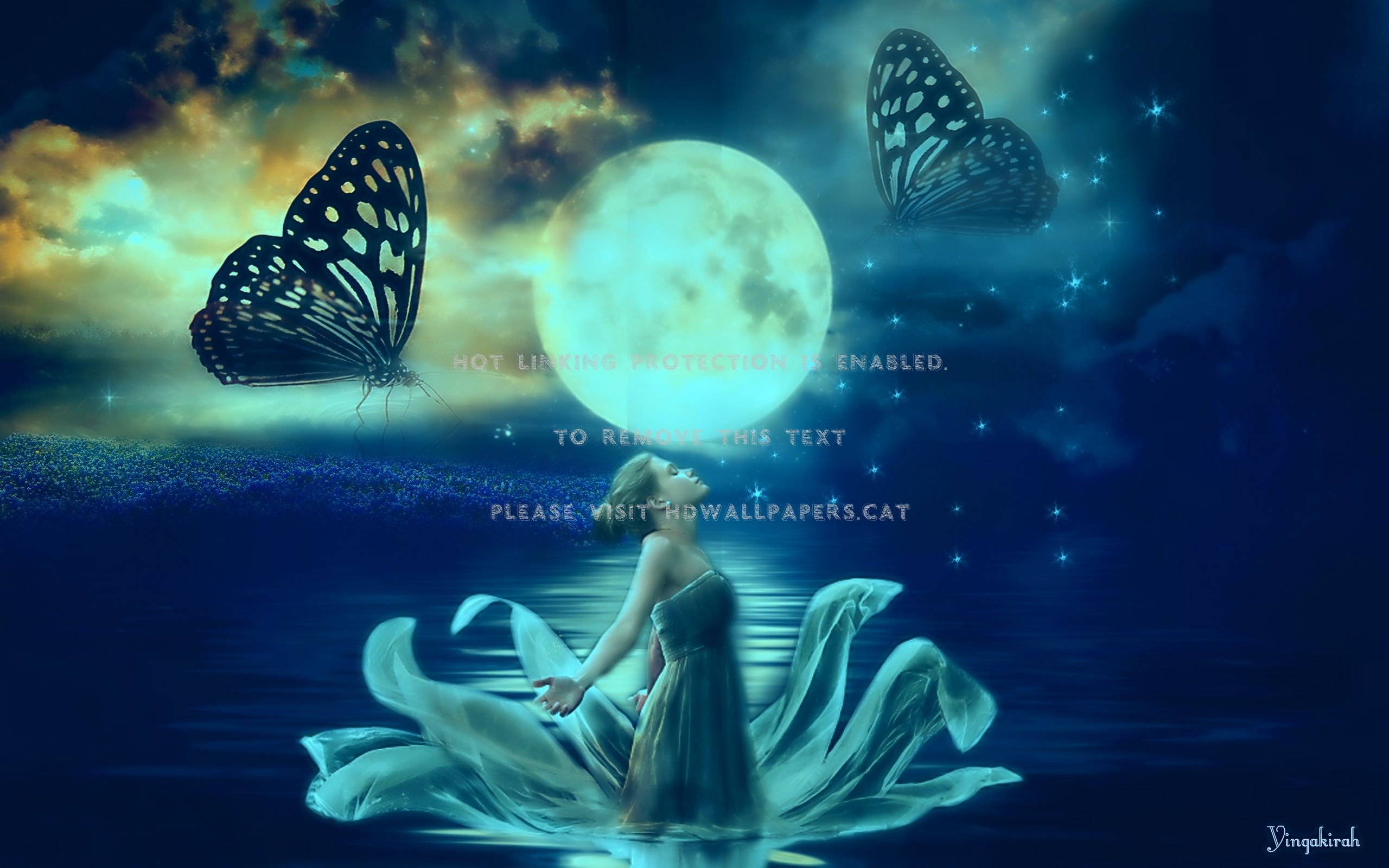 Fantasy Mask Women With Butterfly And Birds In Night
 Wallpapers